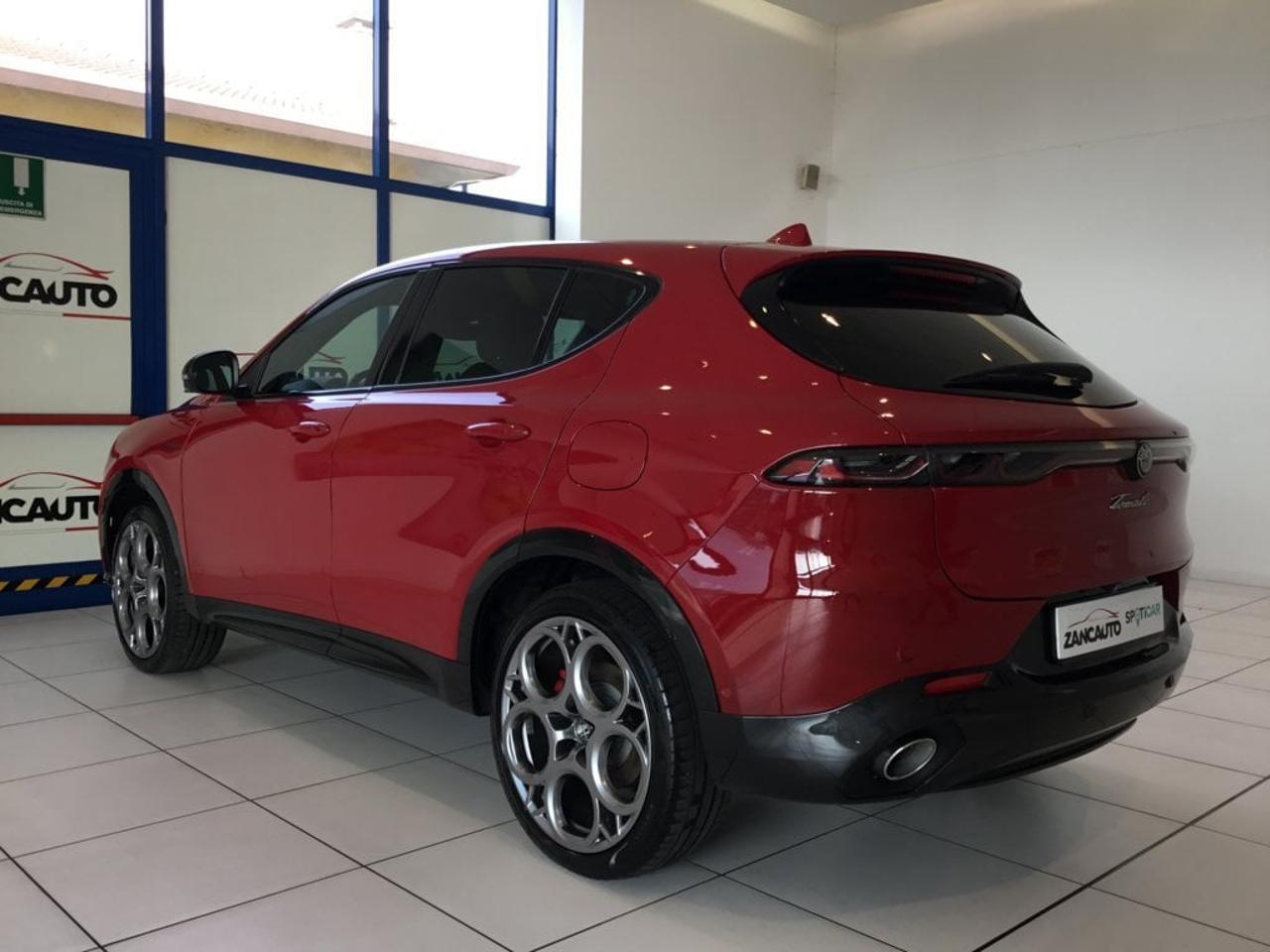Alfa Romeo Alfa Romeo Tonale usata 13
