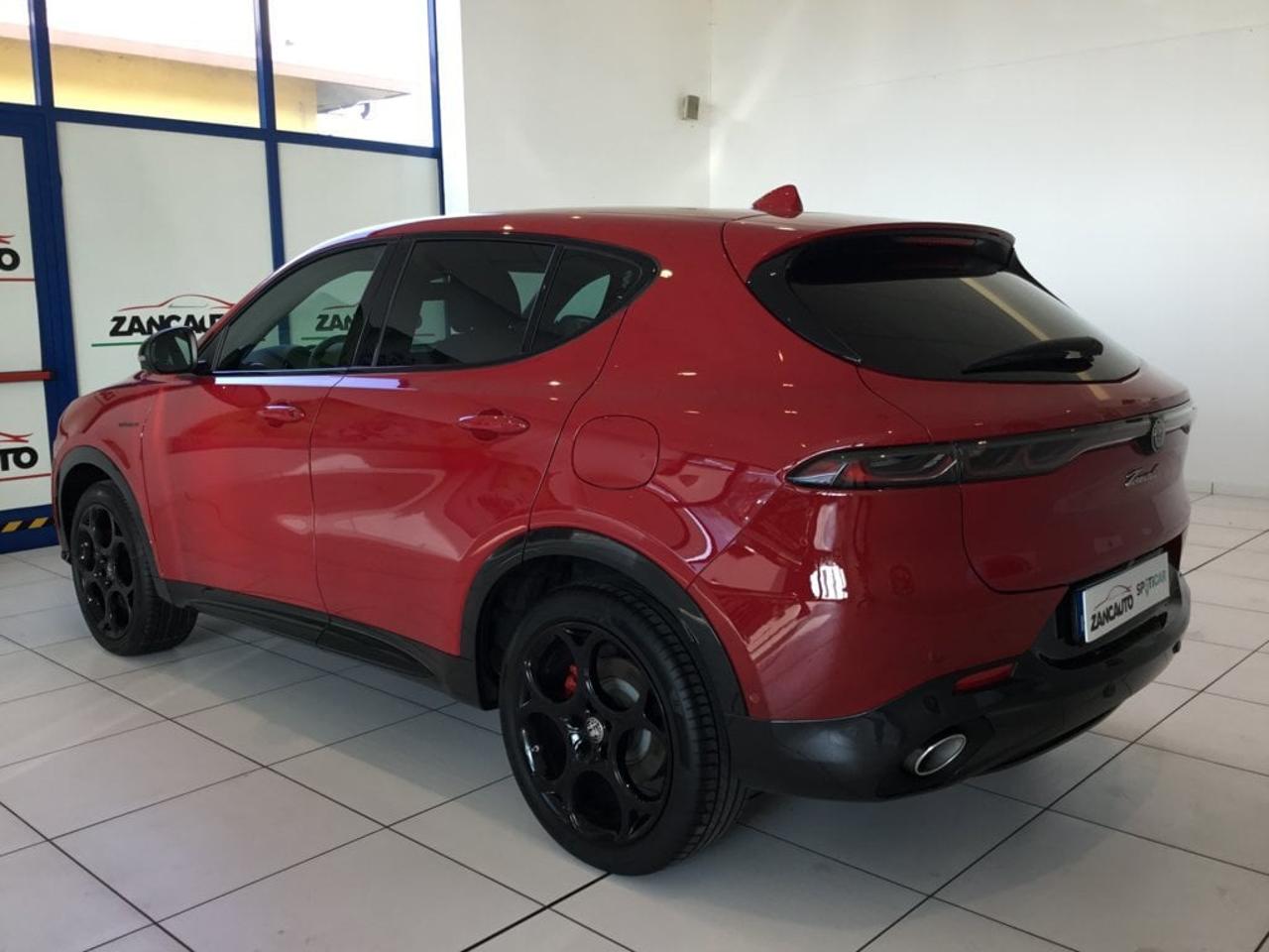 Alfa Romeo Alfa Romeo Tonale usata 13