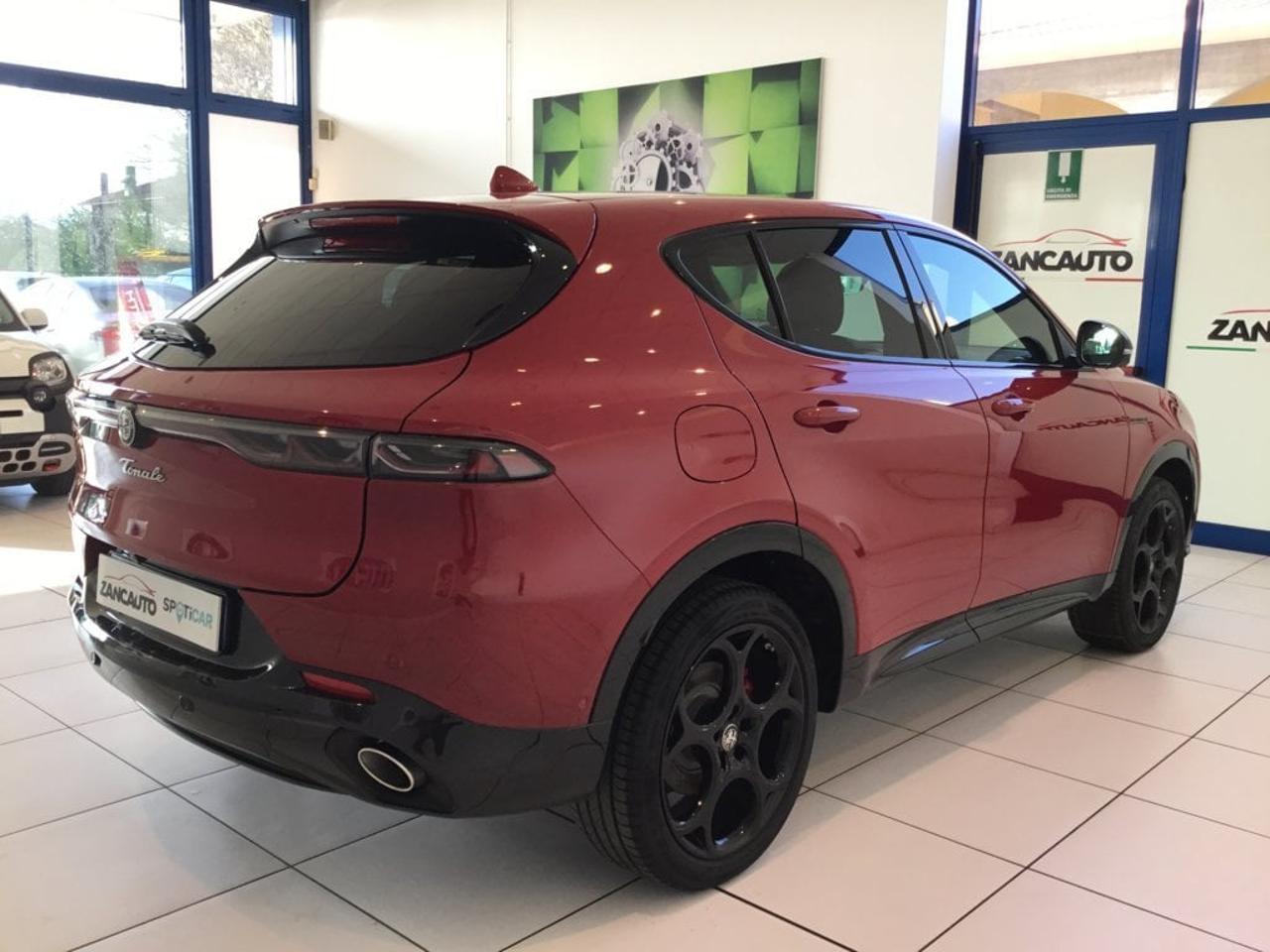 Alfa Romeo Alfa Romeo Tonale usata 15