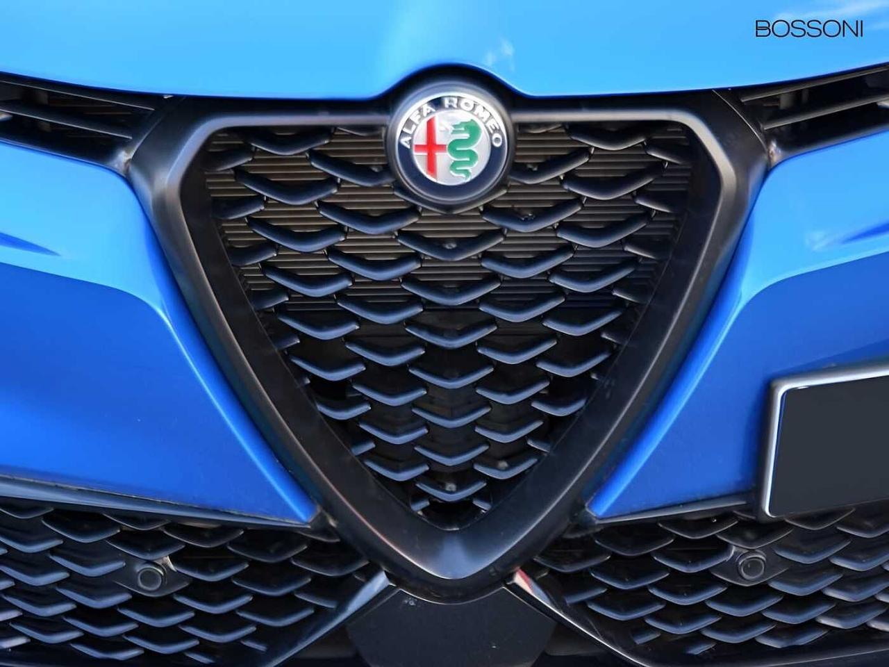 Alfa Romeo Alfa Romeo Tonale usata 13