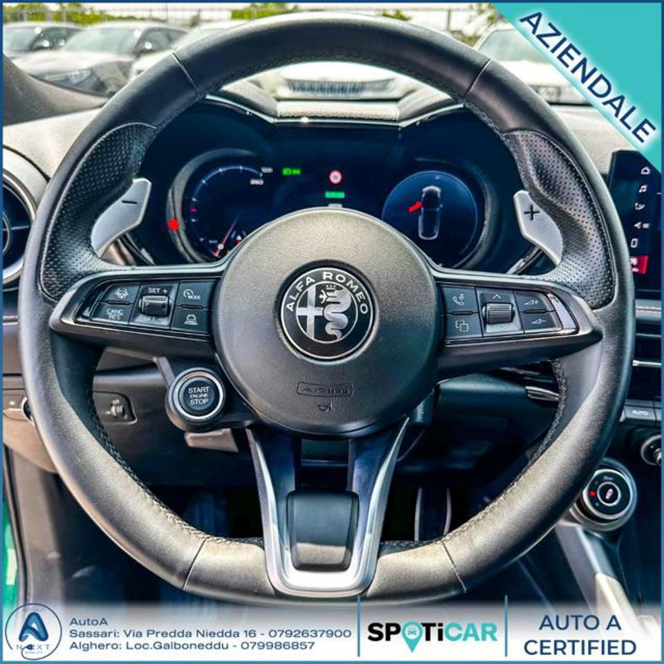 Alfa Romeo Alfa Romeo Tonale usata 10