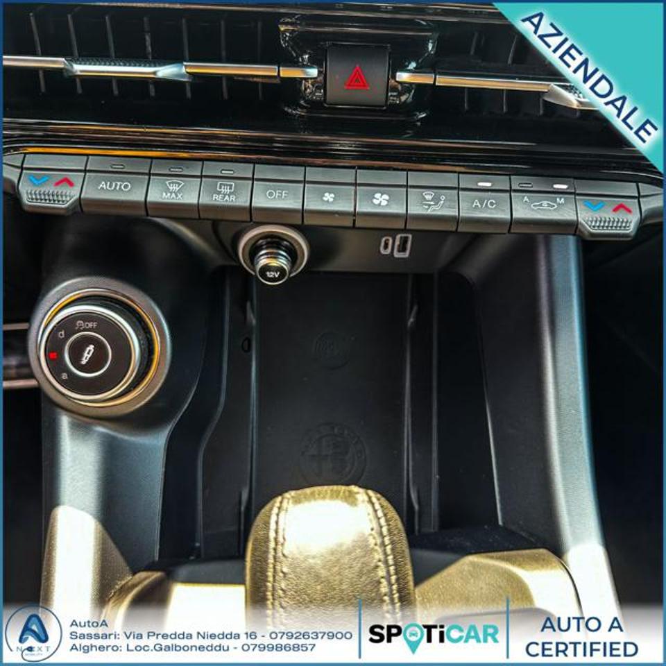 Alfa Romeo Alfa Romeo Tonale usata 14