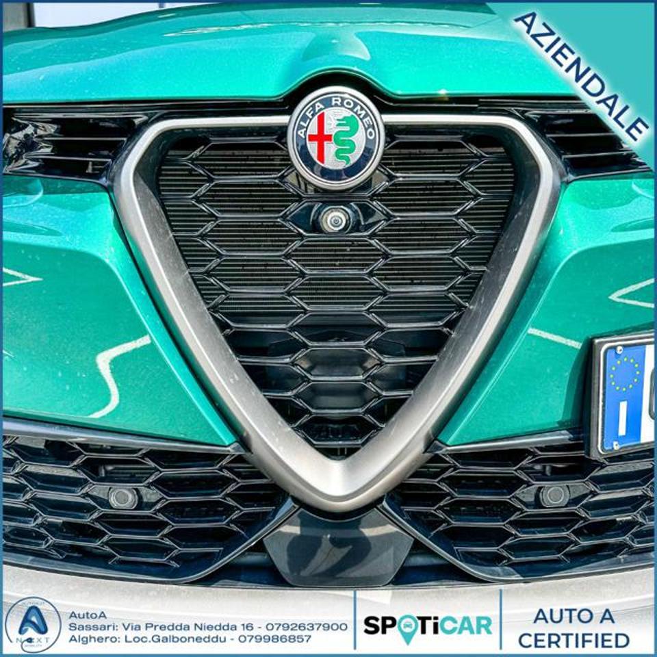 Alfa Romeo Alfa Romeo Tonale usata 24