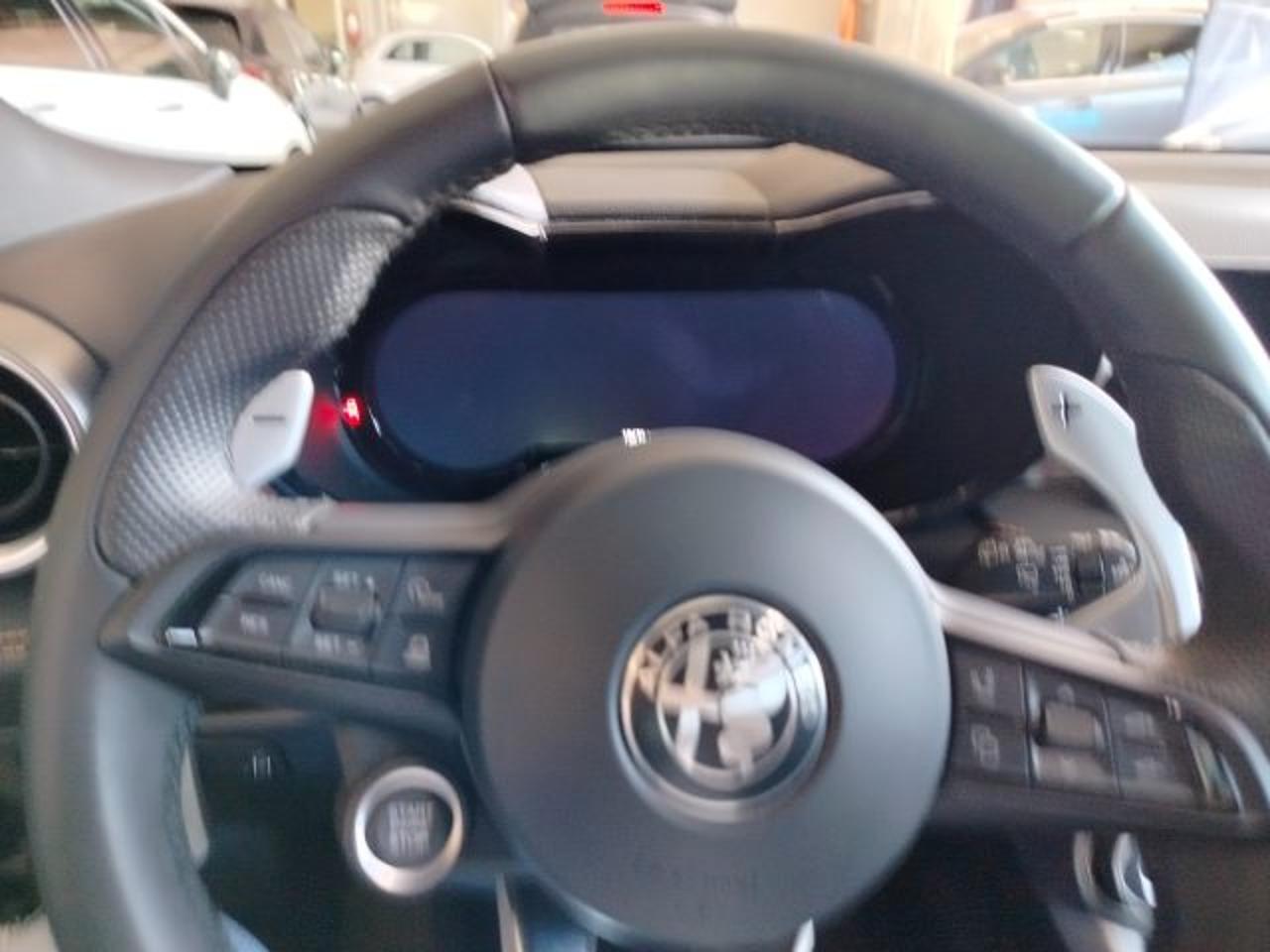 Alfa Romeo Alfa Romeo Tonale usata 15