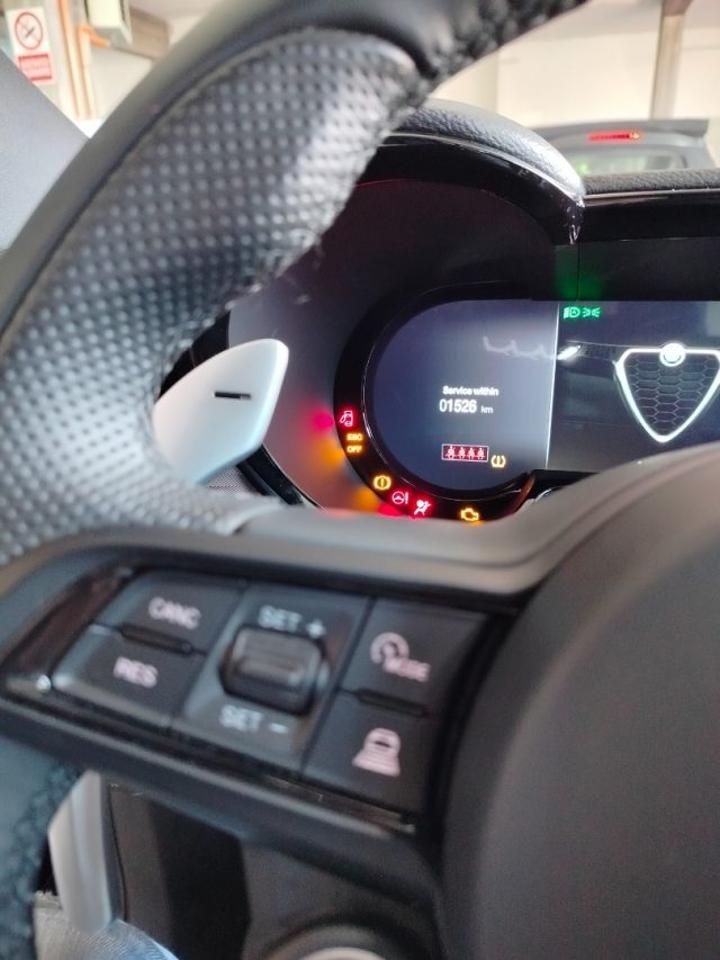 Alfa Romeo Alfa Romeo Tonale usata 16