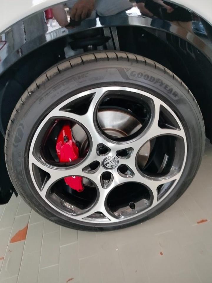 Alfa Romeo Alfa Romeo Tonale usata, con cruise control