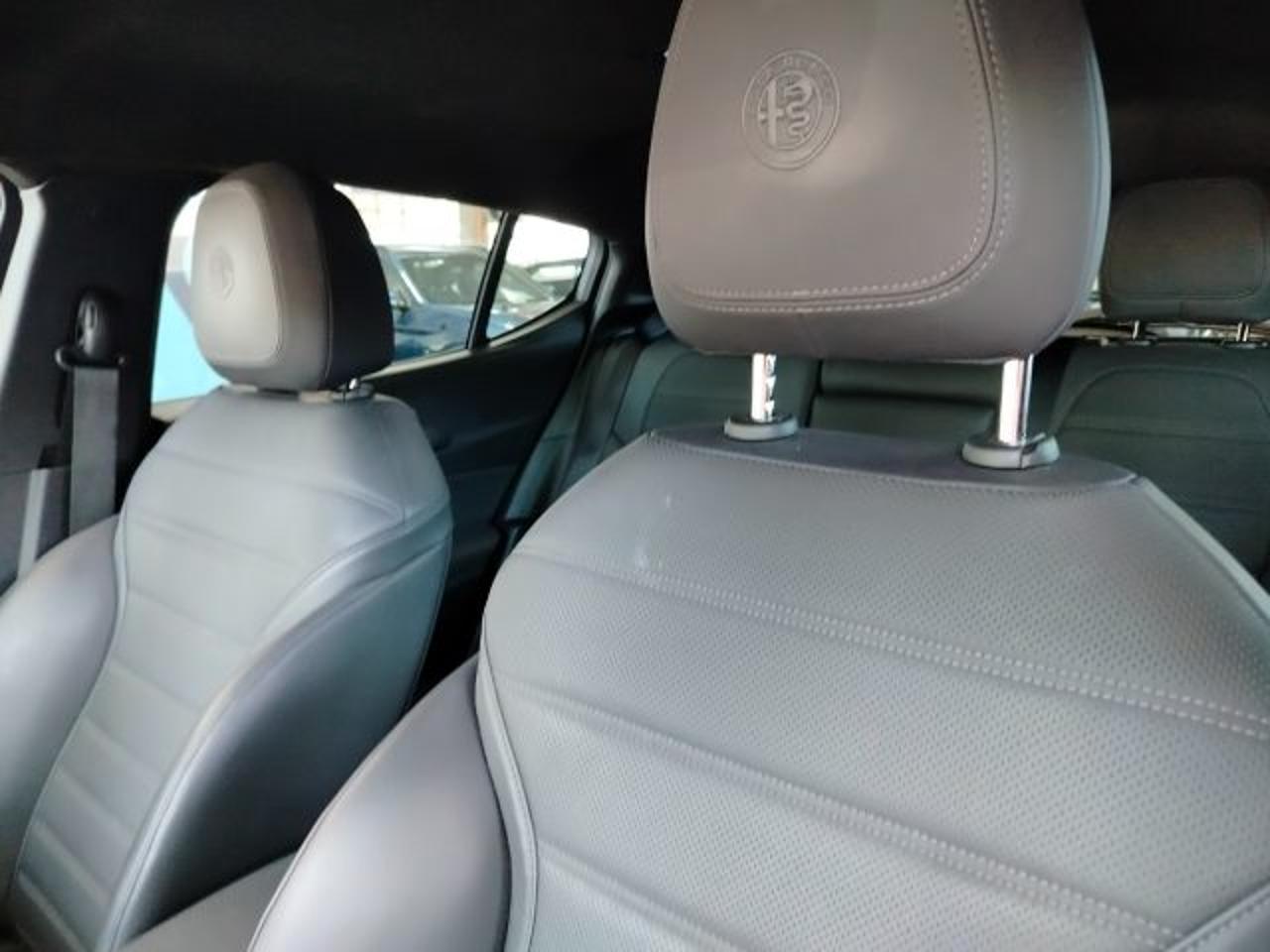 Alfa Romeo Alfa Romeo Tonale usata 14