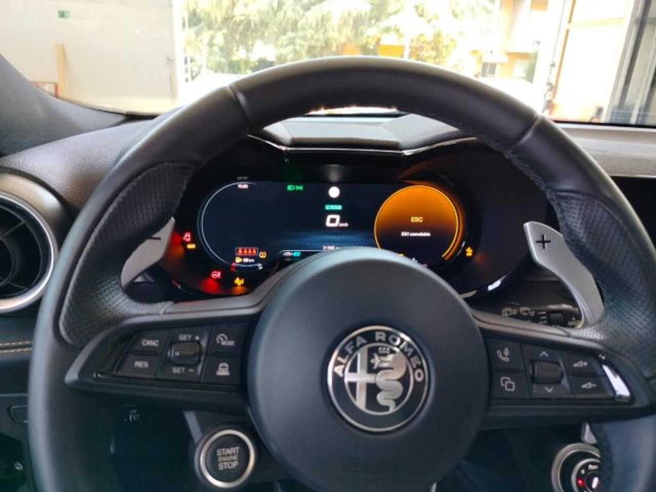 Alfa Romeo Alfa Romeo Tonale usata 19