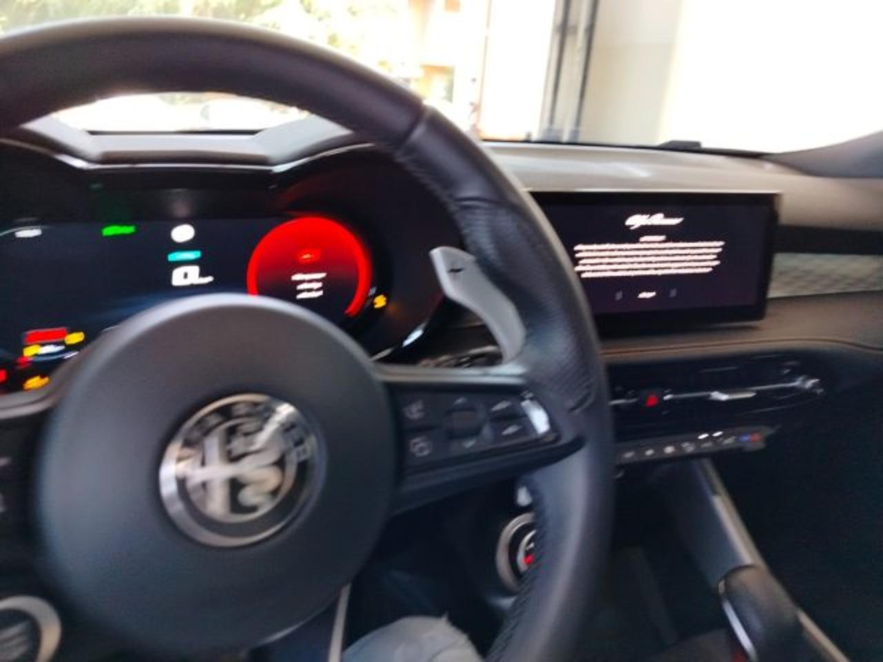 Alfa Romeo Alfa Romeo Tonale usata 21