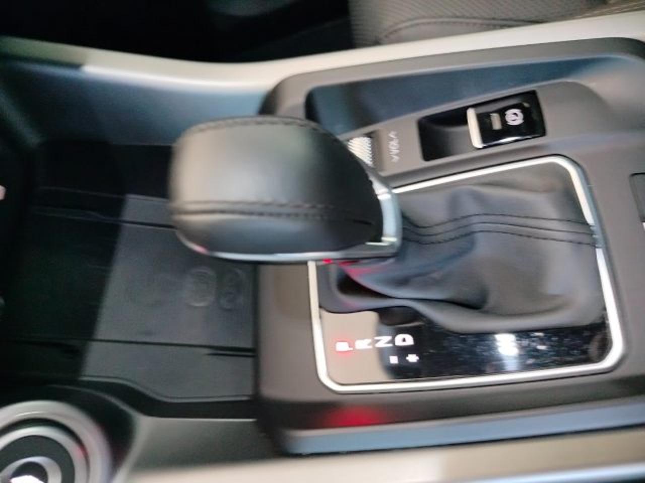Alfa Romeo Alfa Romeo Tonale usata 24