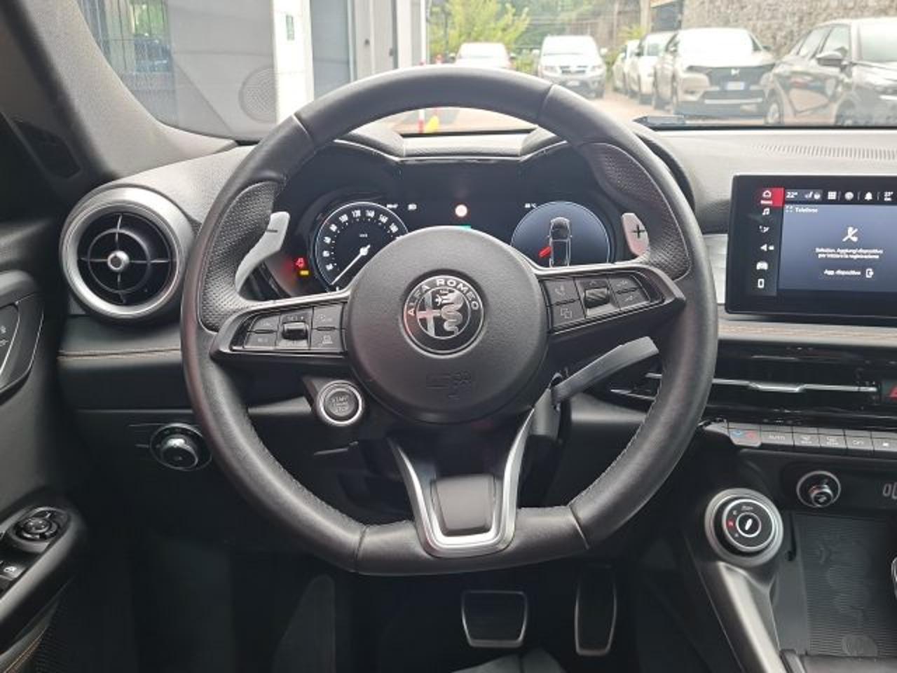 Alfa Romeo Alfa Romeo Tonale usata 24