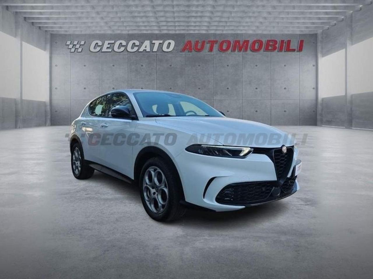 Alfa Romeo Alfa Romeo Tonale usata 7