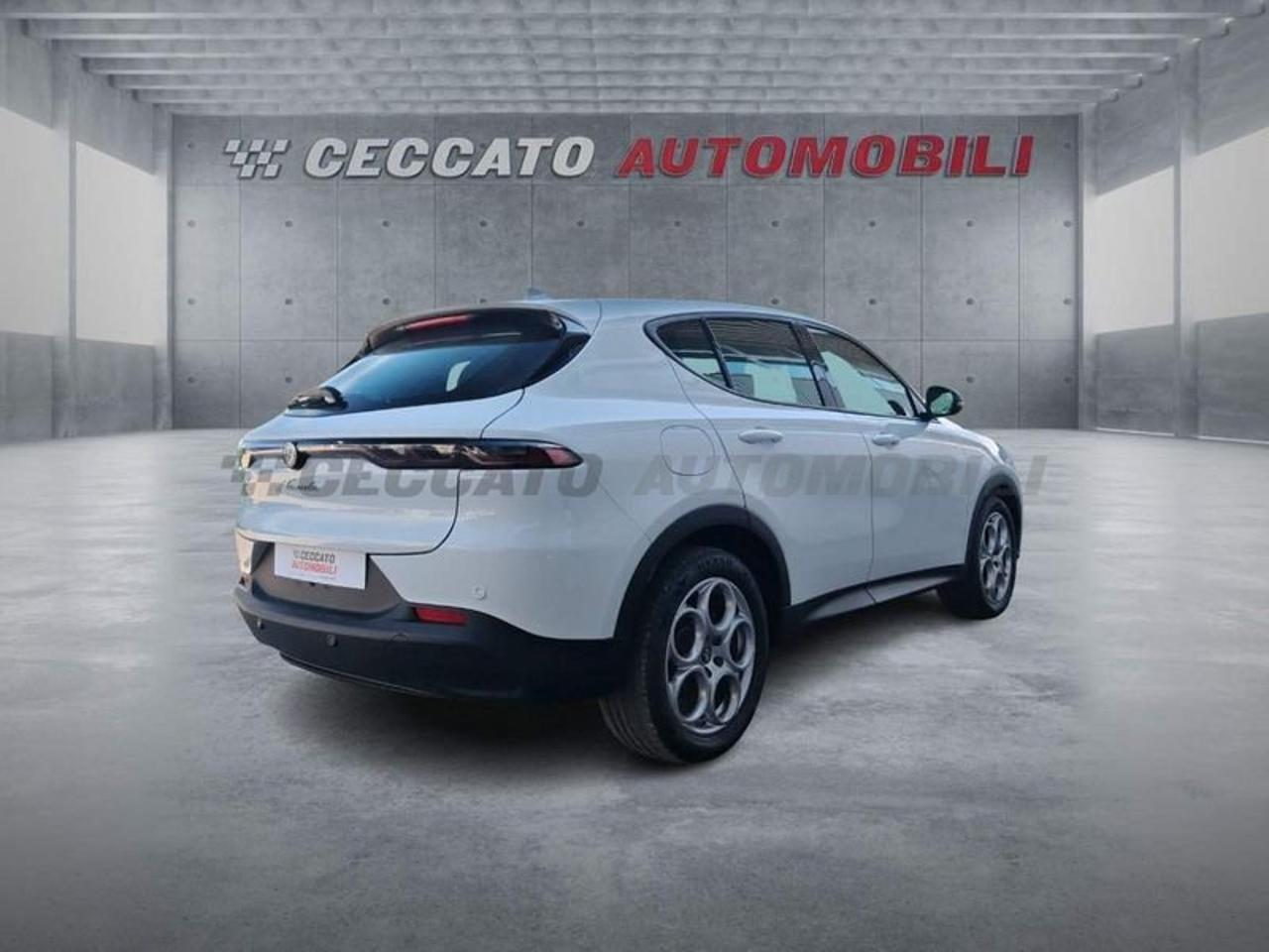 Alfa Romeo Alfa Romeo Tonale usata 8