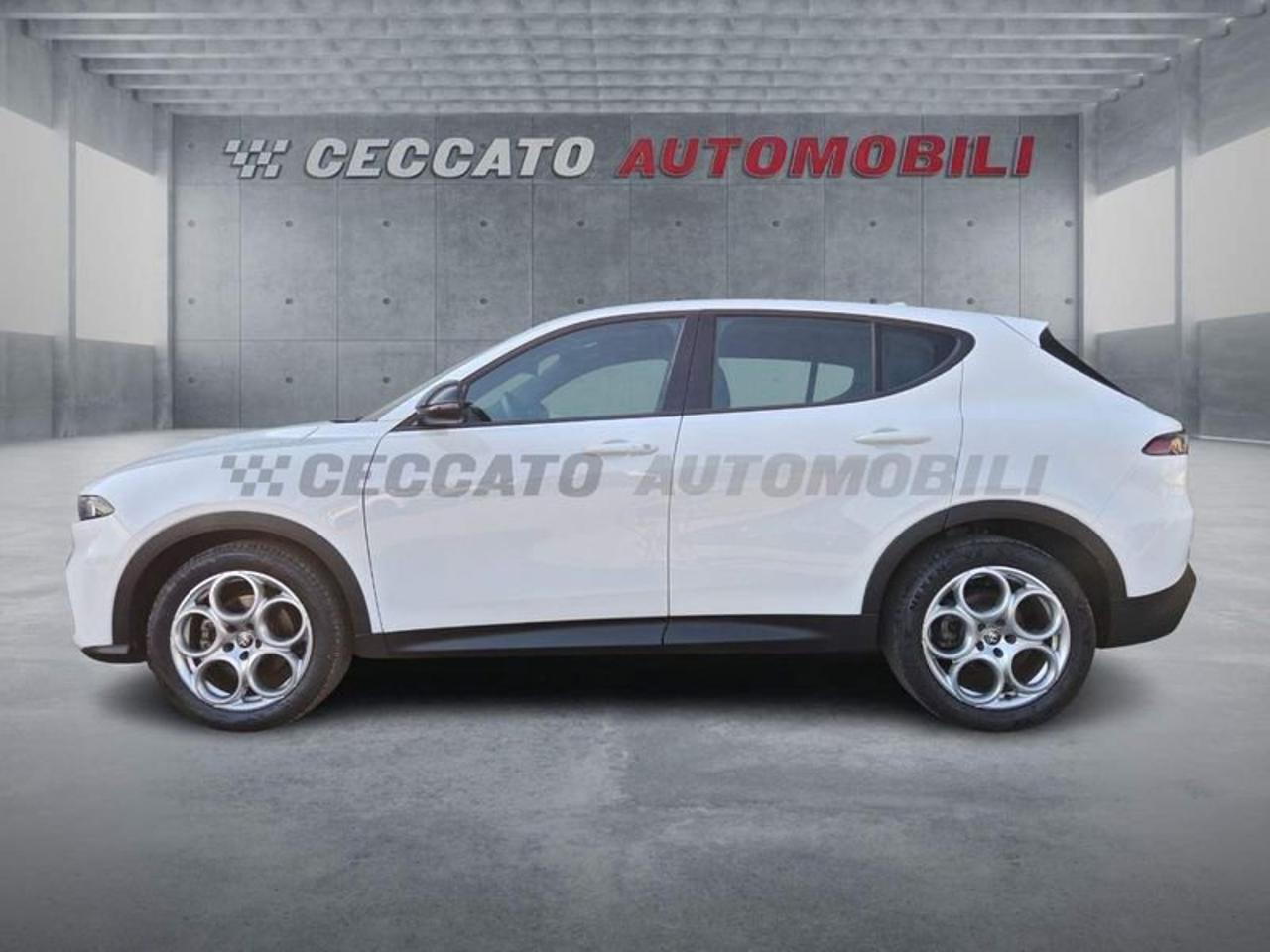 Alfa Romeo Alfa Romeo Tonale usata 11