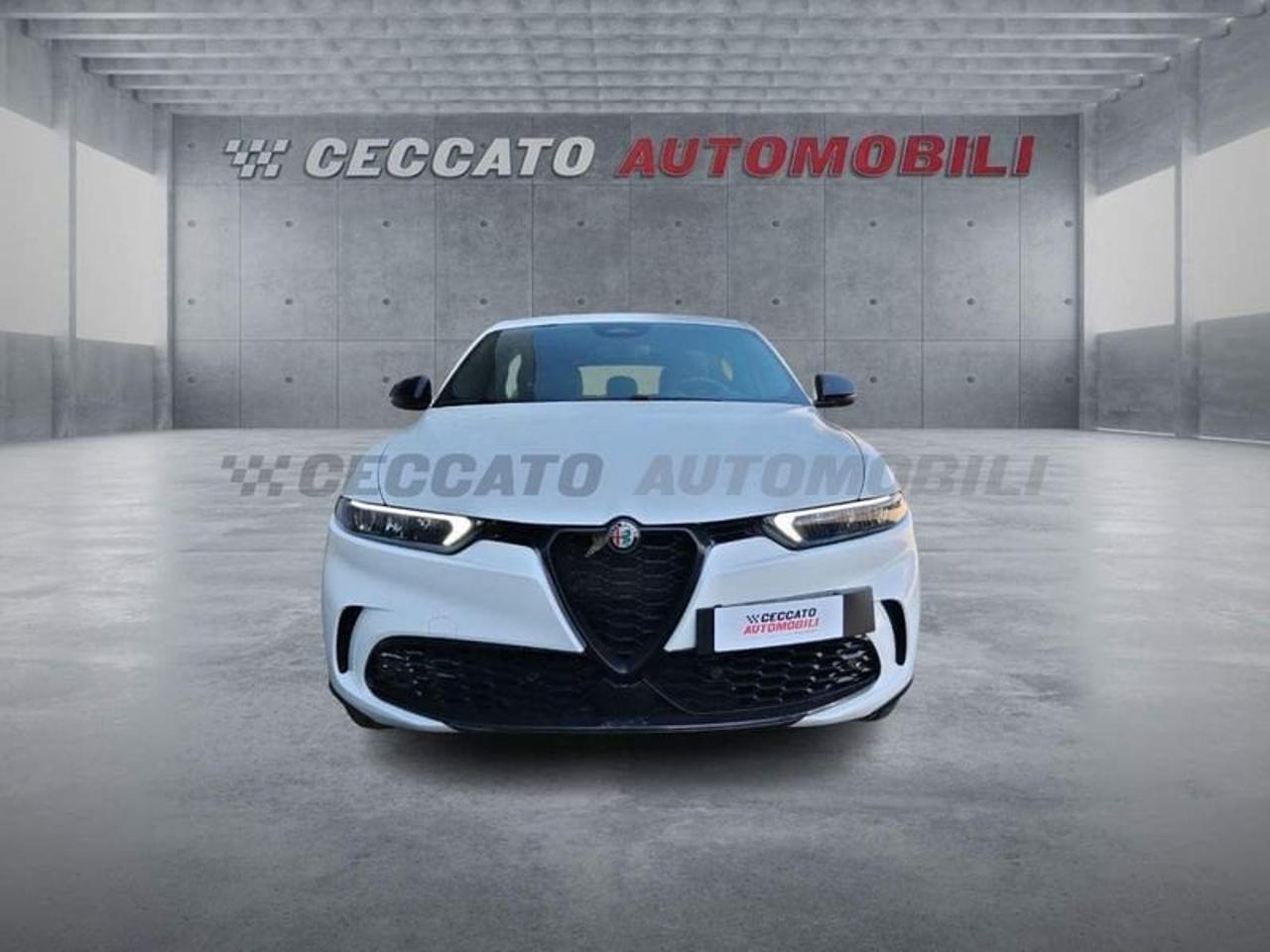 Alfa Romeo Alfa Romeo Tonale usata 18
