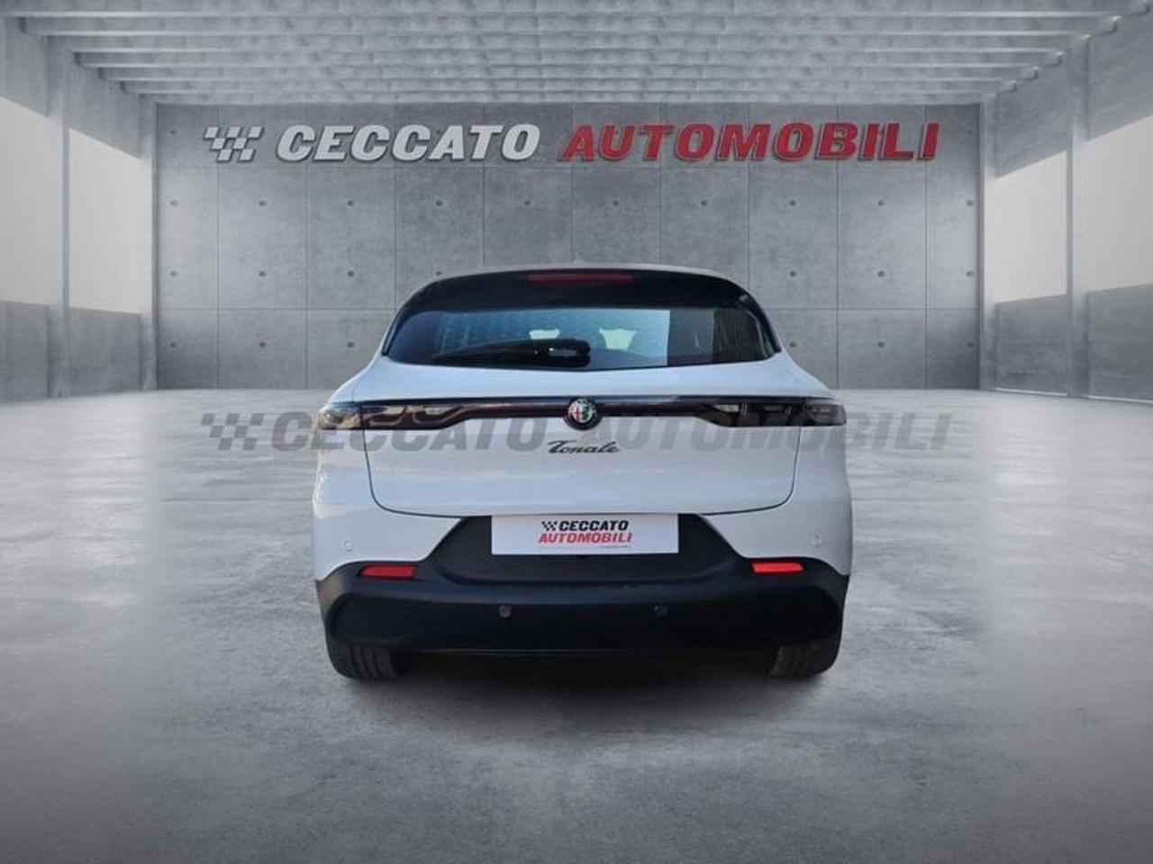 Alfa Romeo Alfa Romeo Tonale usata 19