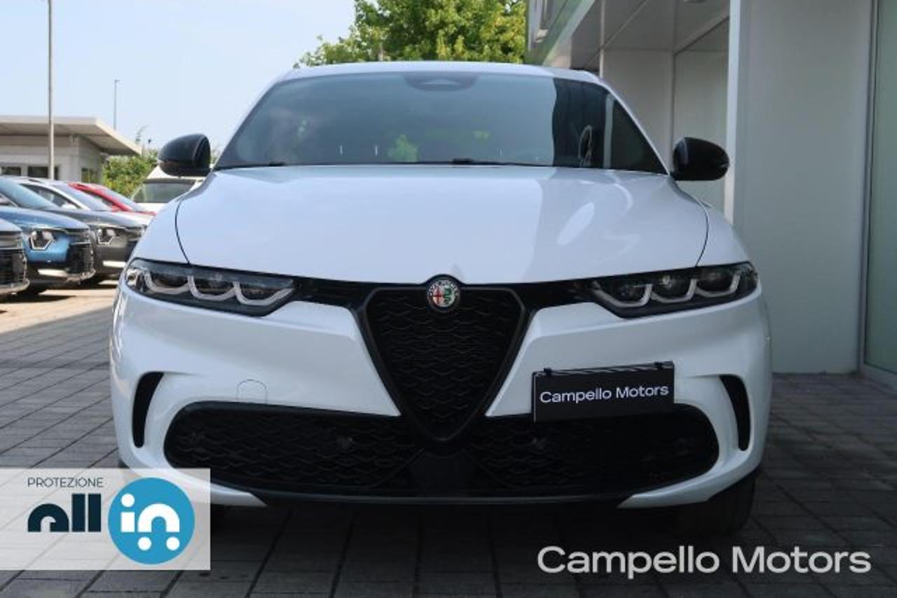 Alfa Romeo Alfa Romeo Tonale usata 11
