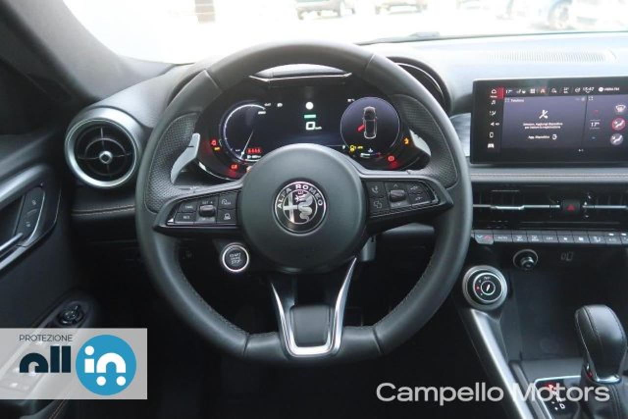 Alfa Romeo Alfa Romeo Tonale usata 18