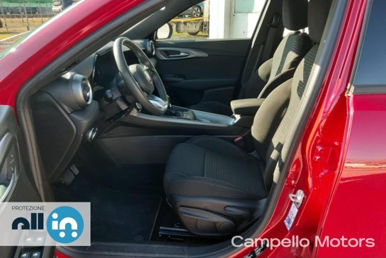 Alfa Romeo Alfa Romeo Tonale usata 14