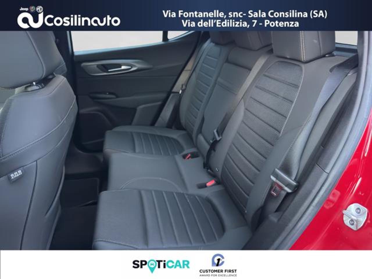 Alfa Romeo Alfa Romeo Tonale usata, con airbag