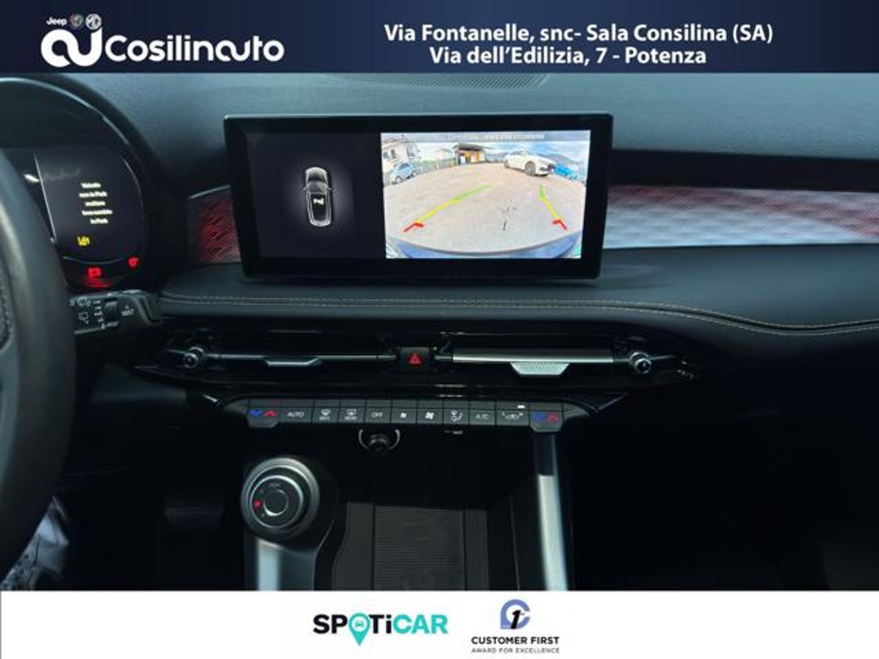 Alfa Romeo Alfa Romeo Tonale usata, con climatizzatore