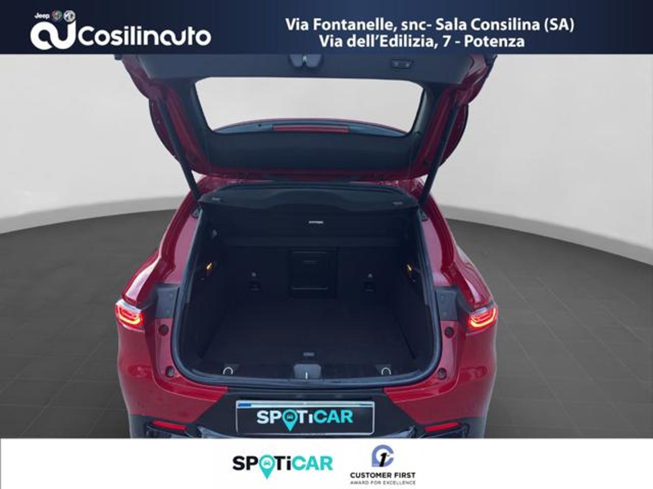 Alfa Romeo Alfa Romeo Tonale usata, con cruise control