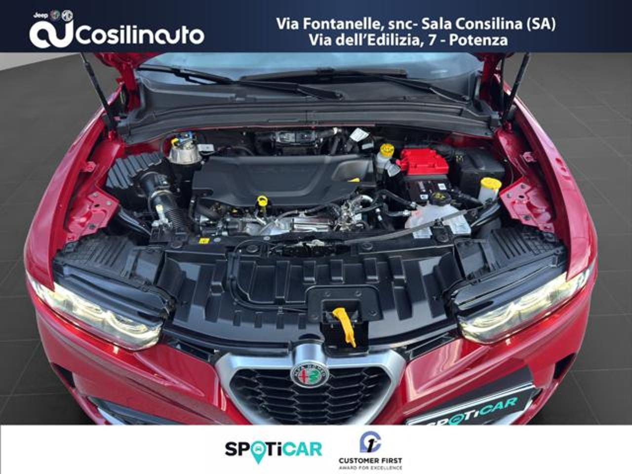 Alfa Romeo Alfa Romeo Tonale usata, con esp