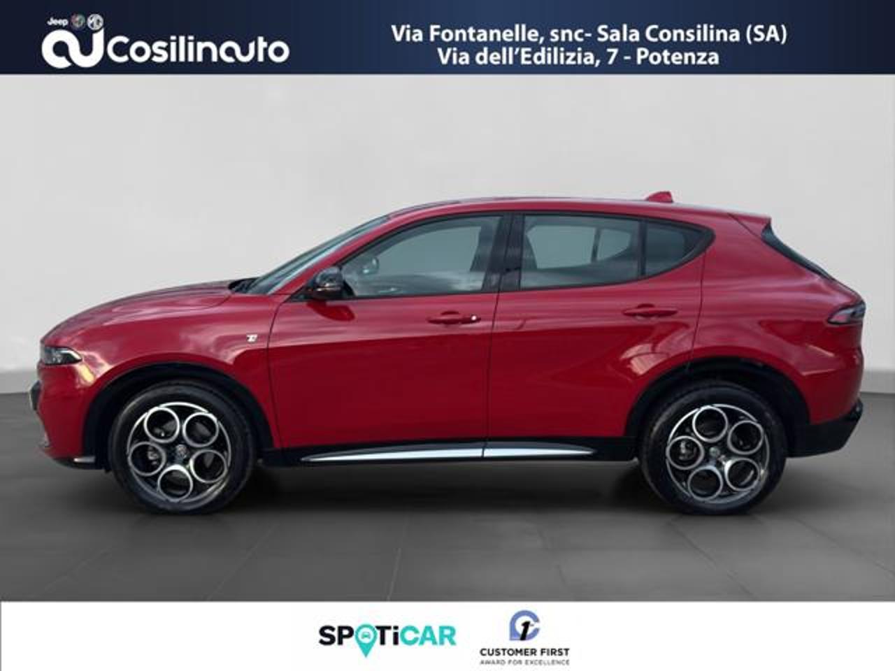 Alfa Romeo Alfa Romeo Tonale usata, con navigatore