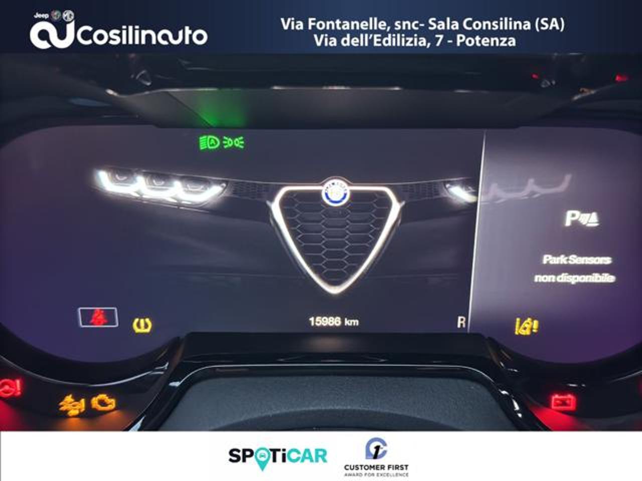 Alfa Romeo Alfa Romeo Tonale usata, con radio cd e mp3