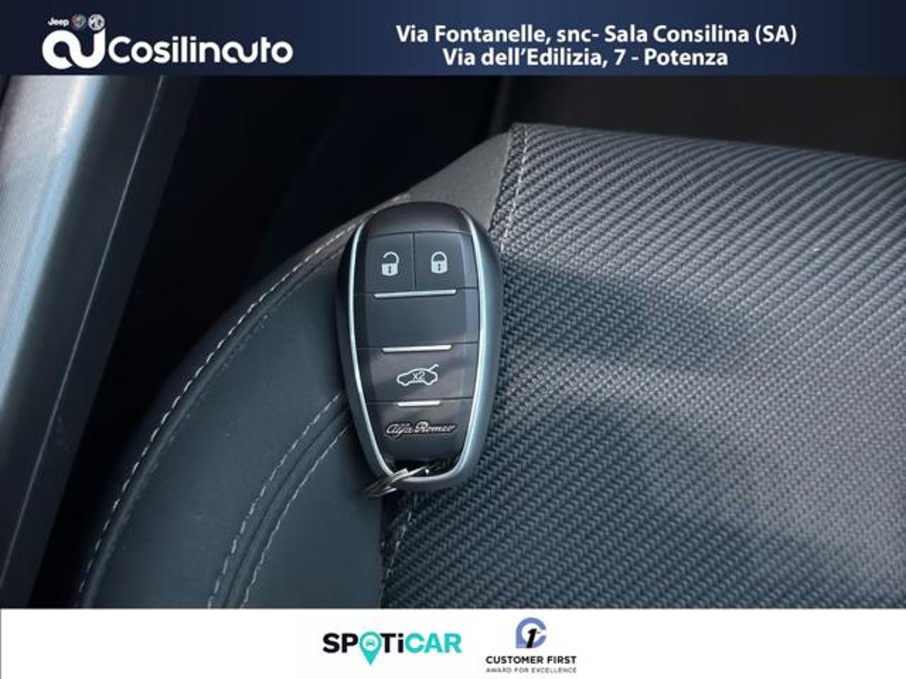 Alfa Romeo Alfa Romeo Tonale usata, con servo sterzo