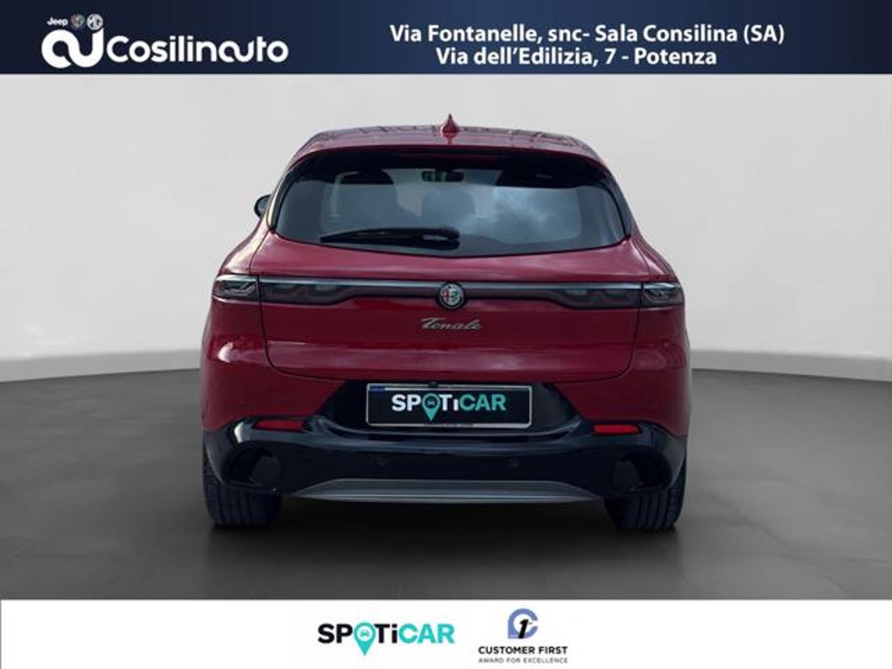 Alfa Romeo Alfa Romeo Tonale usata 15