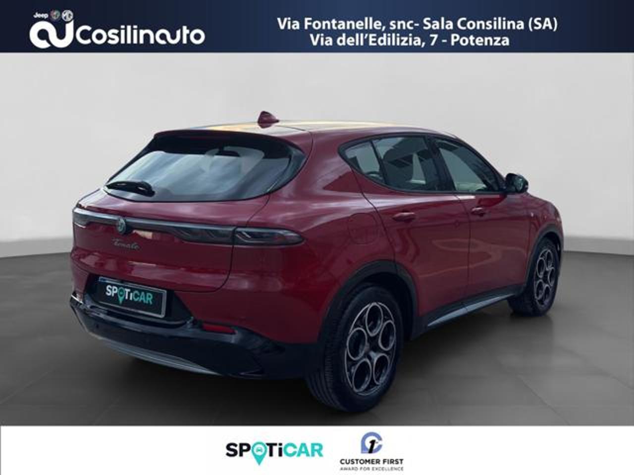 Alfa Romeo Alfa Romeo Tonale usata 16