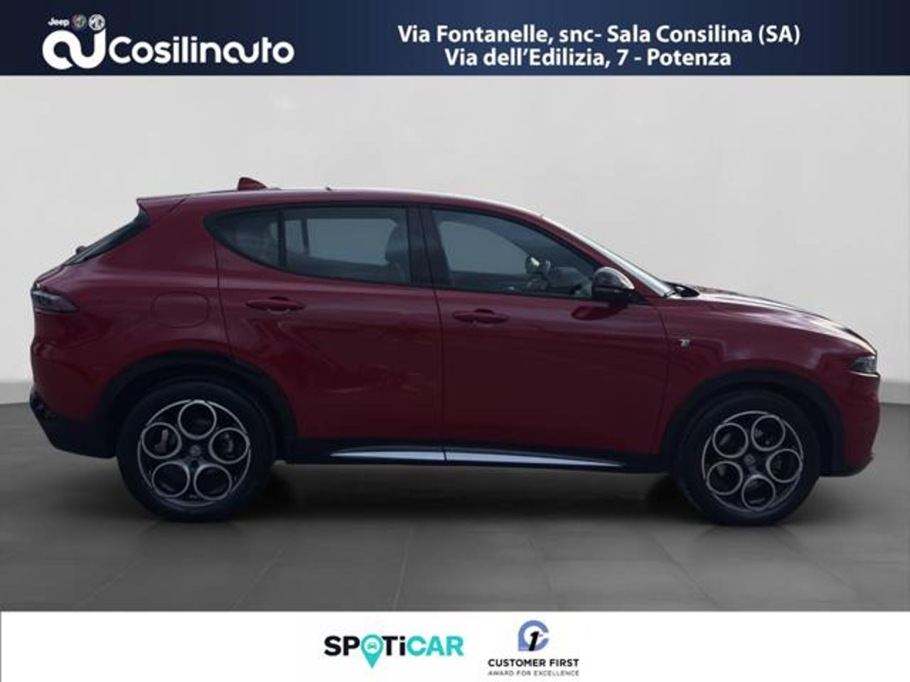 Alfa Romeo Alfa Romeo Tonale usata 17