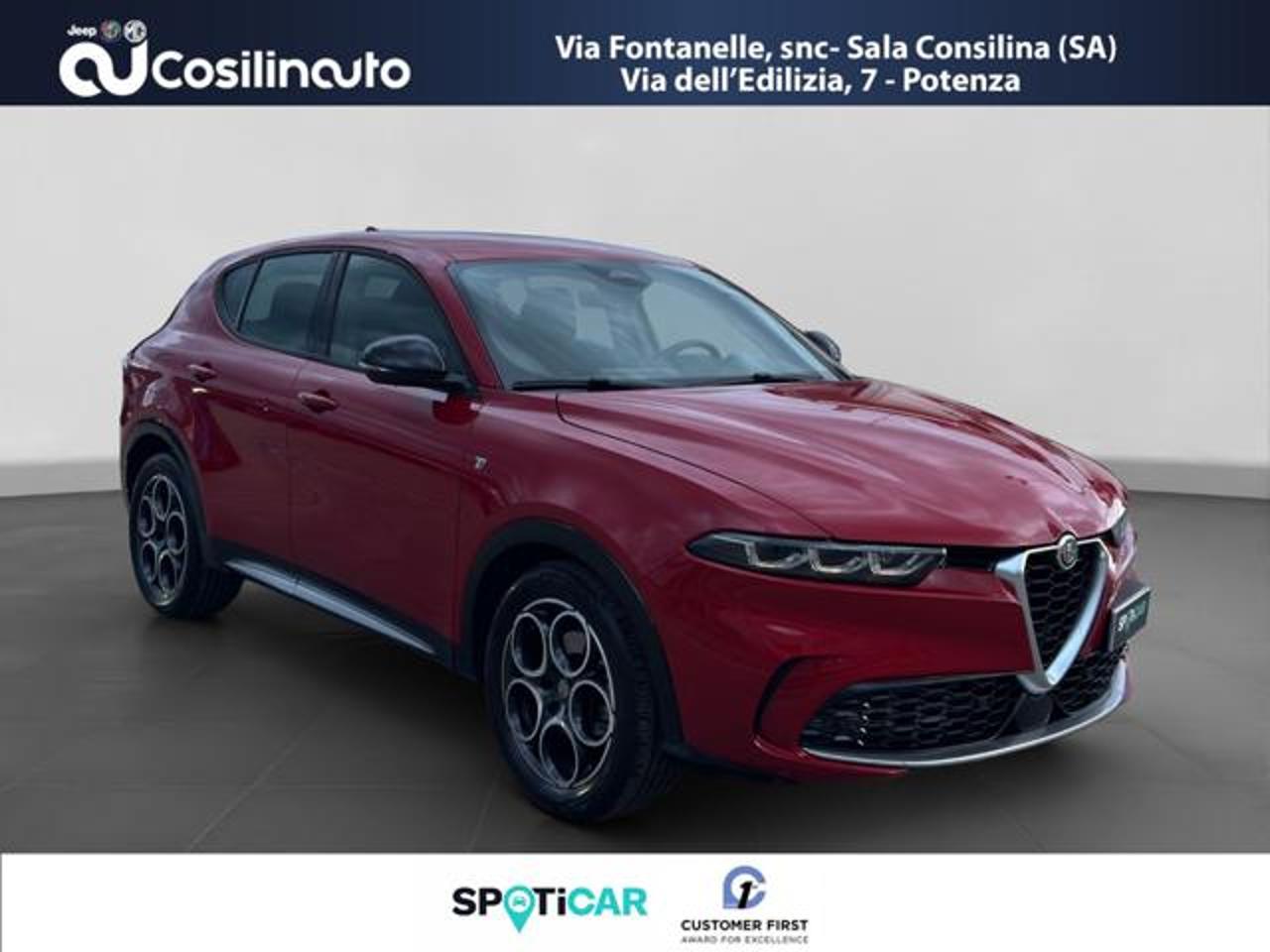 Alfa Romeo Alfa Romeo Tonale usata 18