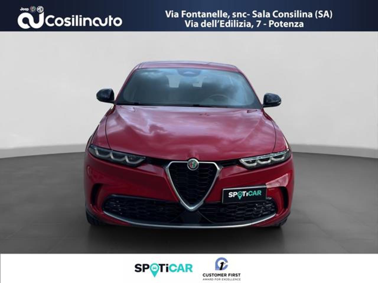 Alfa Romeo Alfa Romeo Tonale usata 19