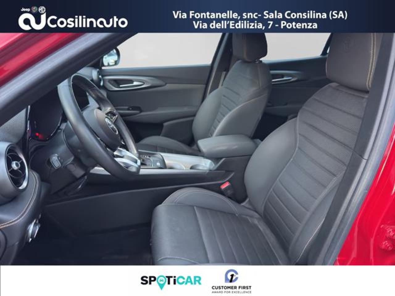 Alfa Romeo Alfa Romeo Tonale usata 20