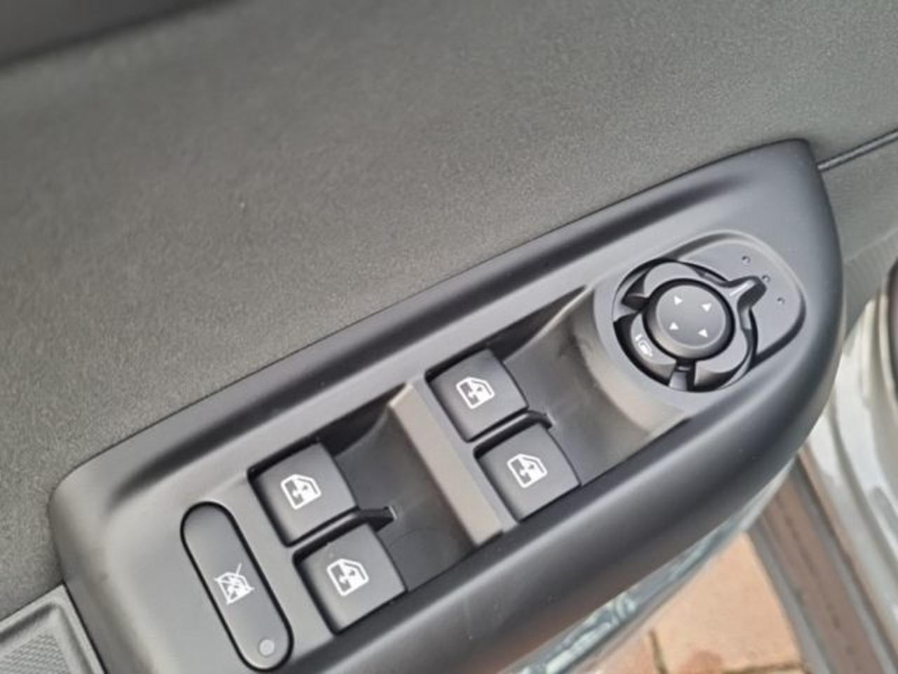 Alfa Romeo Alfa Romeo Tonale usata 14