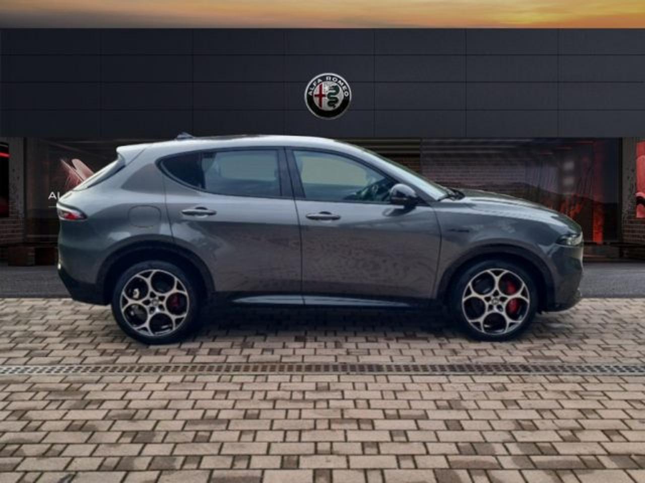 Alfa Romeo Alfa Romeo Tonale usata 19
