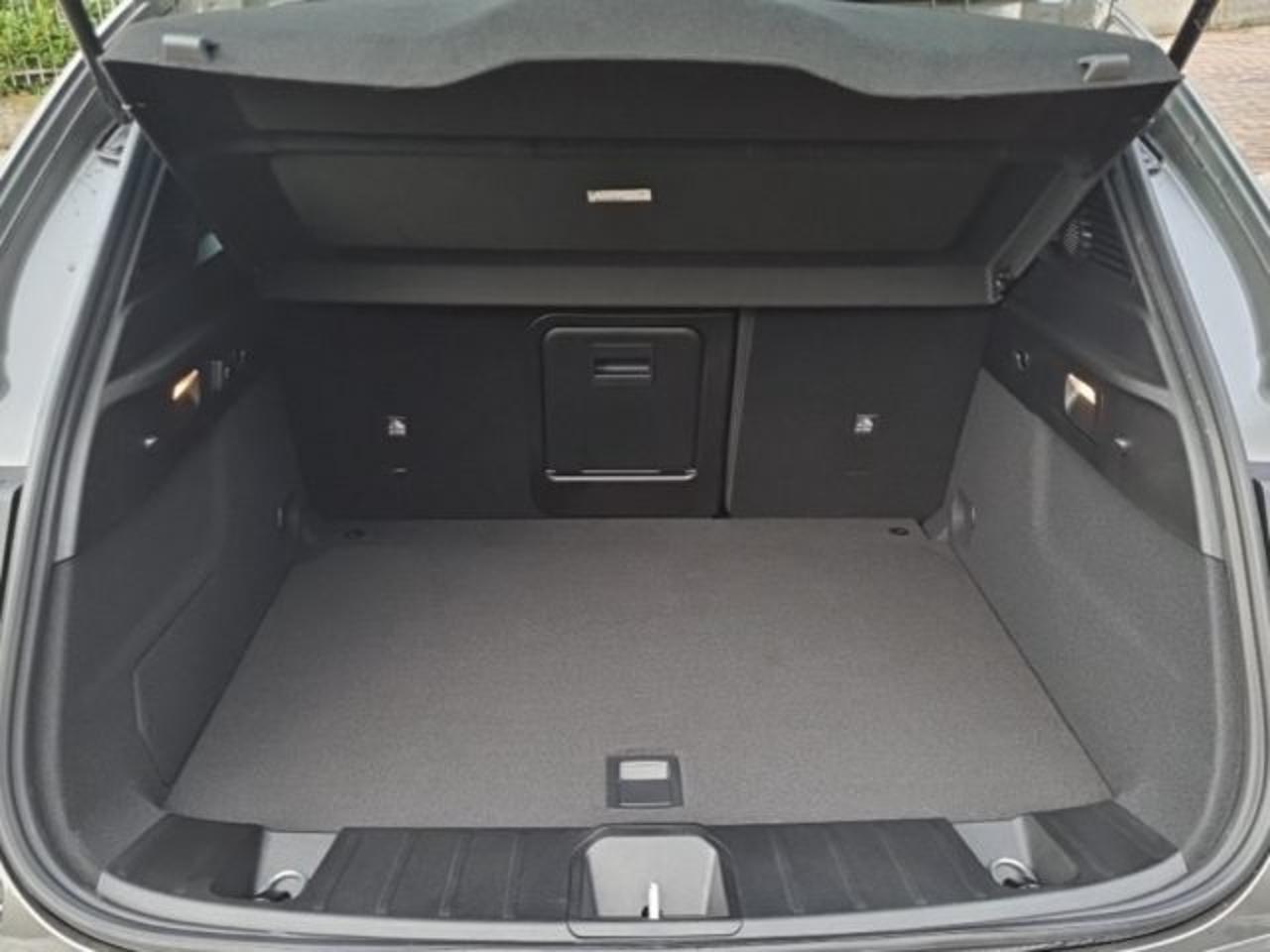 Alfa Romeo Alfa Romeo Tonale usata 21