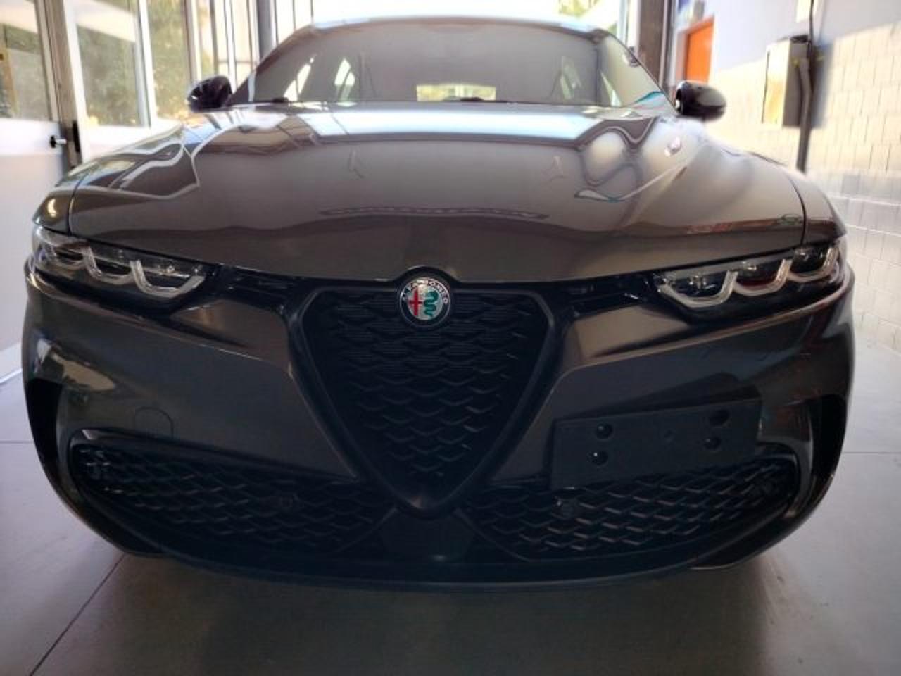 Alfa Romeo Alfa Romeo Tonale usata 13