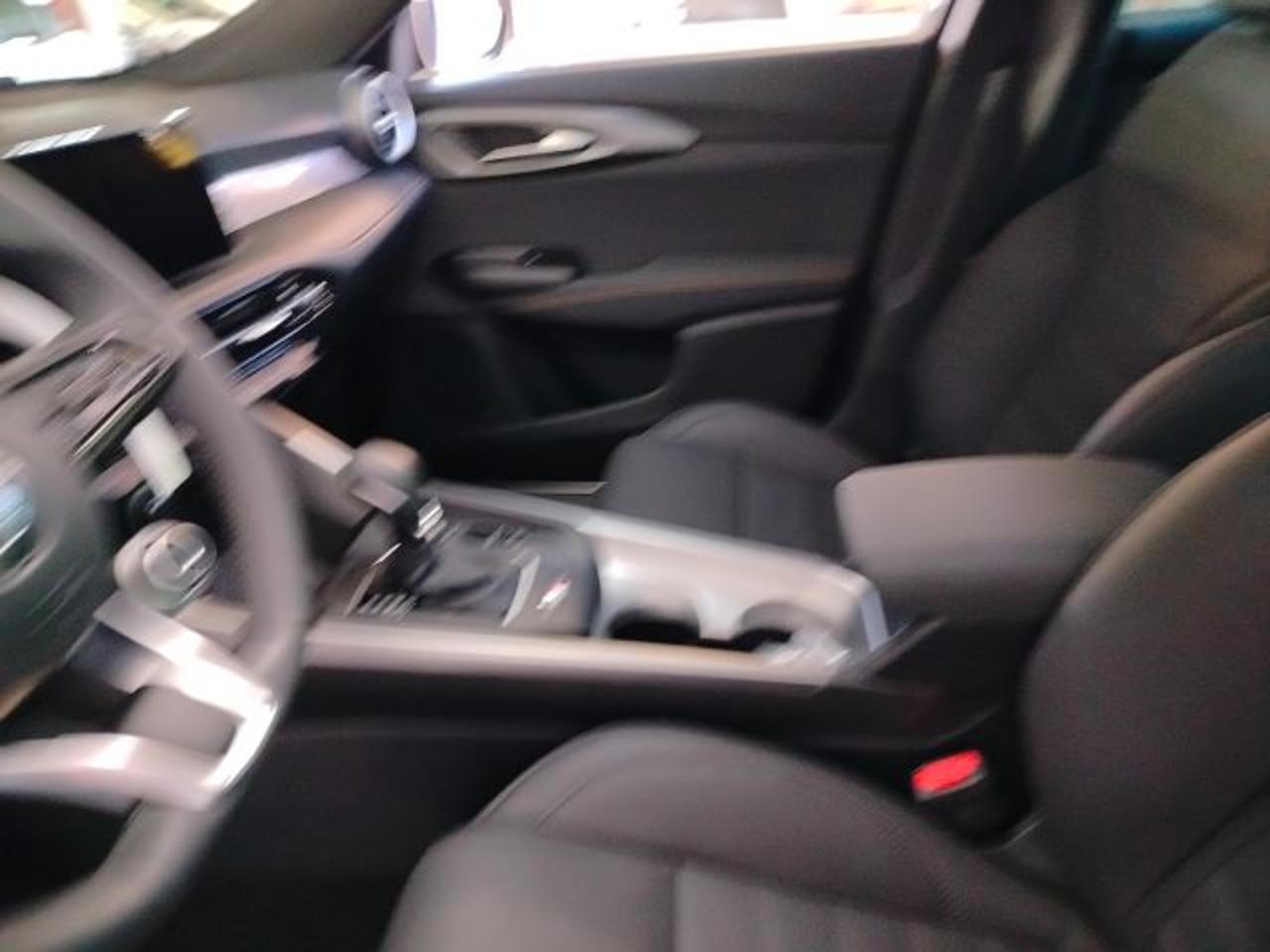 Alfa Romeo Alfa Romeo Tonale usata 17