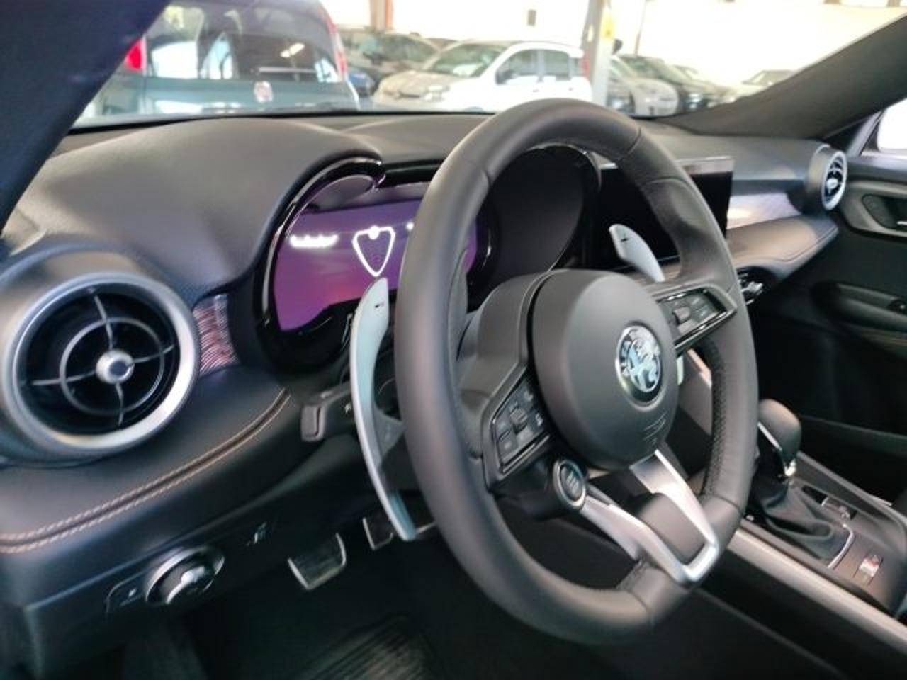 Alfa Romeo Alfa Romeo Tonale usata 18