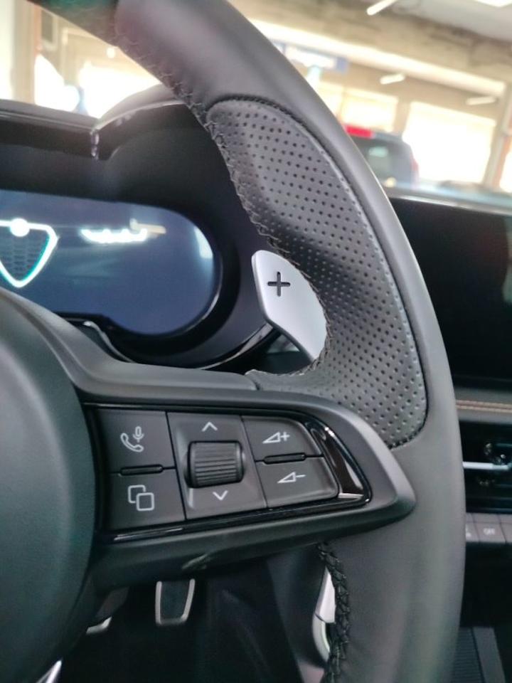 Alfa Romeo Alfa Romeo Tonale usata 20