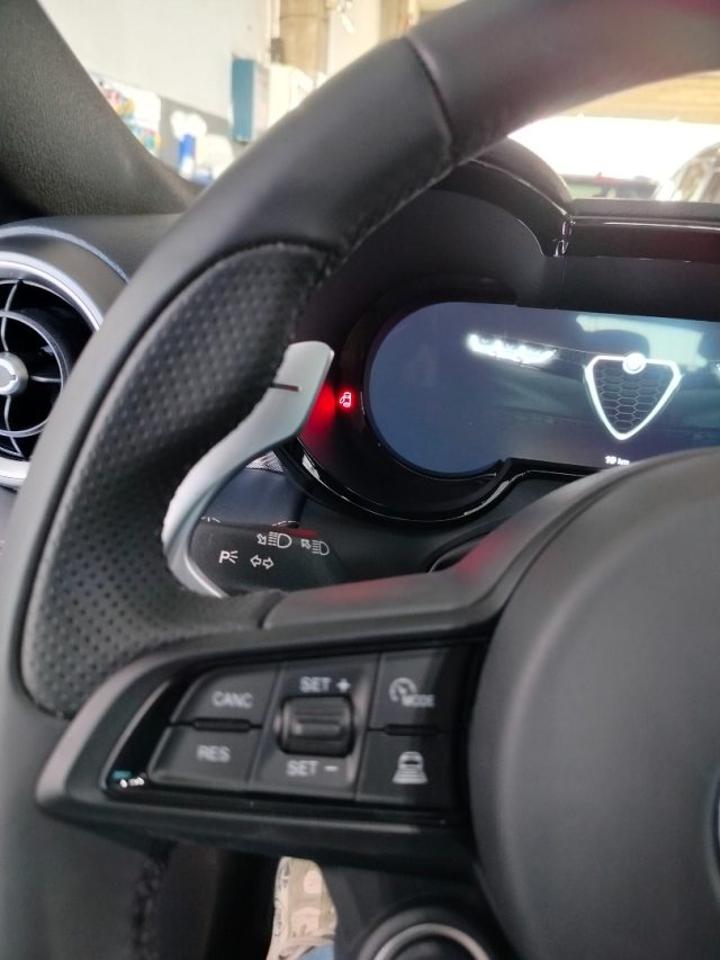 Alfa Romeo Alfa Romeo Tonale usata 21