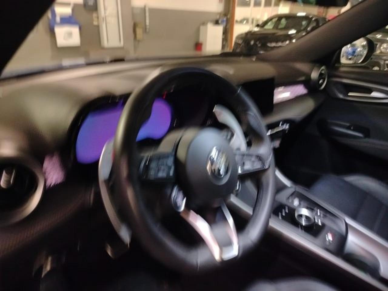 Alfa Romeo Alfa Romeo Tonale usata 12