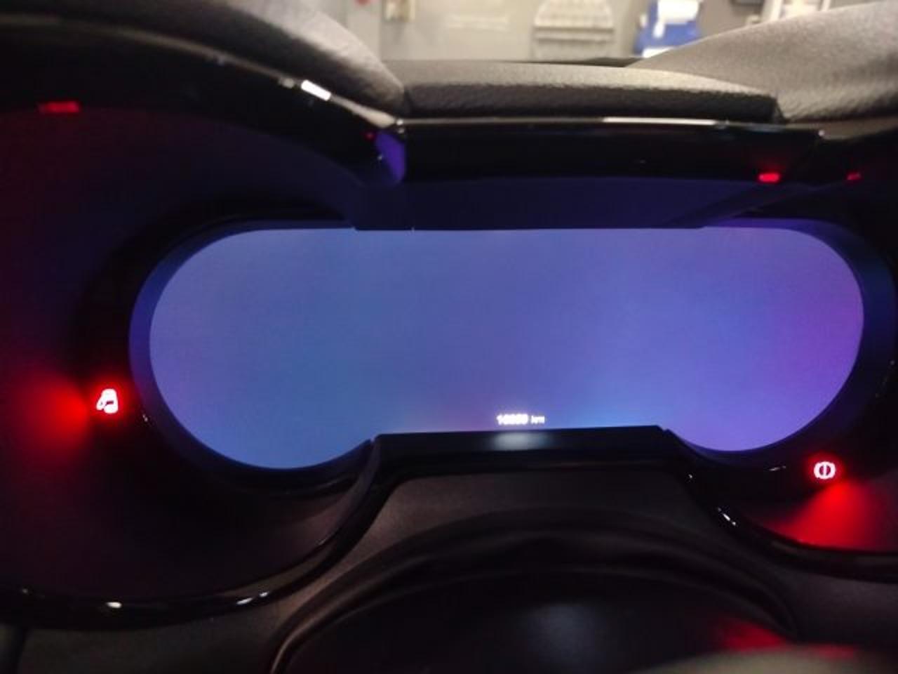 Alfa Romeo Alfa Romeo Tonale usata 13