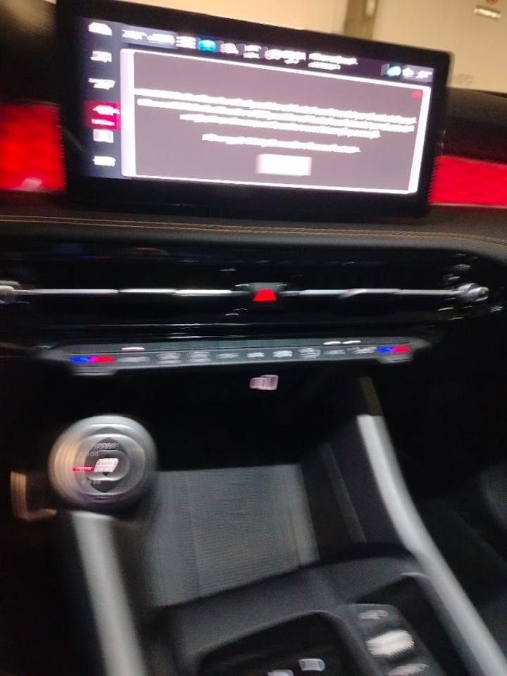 Alfa Romeo Alfa Romeo Tonale usata 15