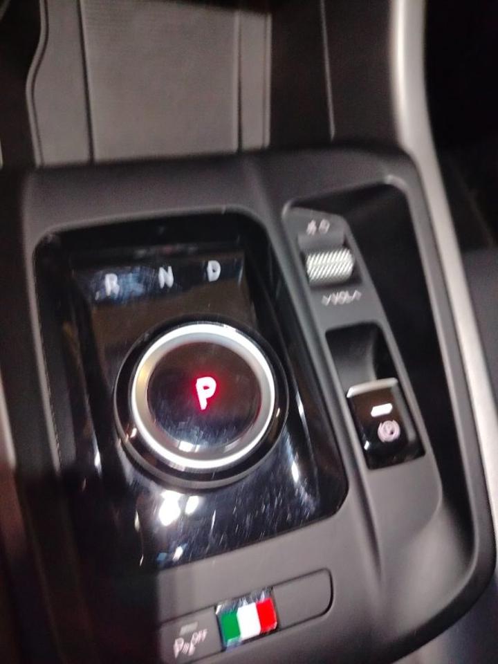 Alfa Romeo Alfa Romeo Tonale usata 16