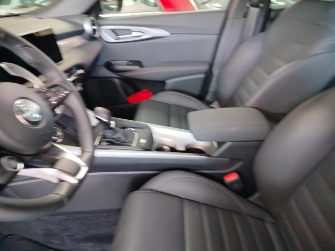 Alfa Romeo Alfa Romeo Tonale usata 14