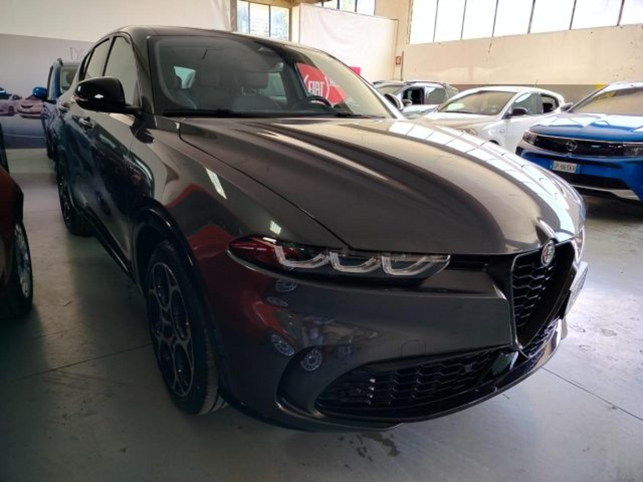 Alfa Romeo Alfa Romeo Tonale usata 26